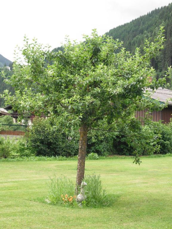 Haus Christophorus Appartement Bad Gastein Buitenkant foto